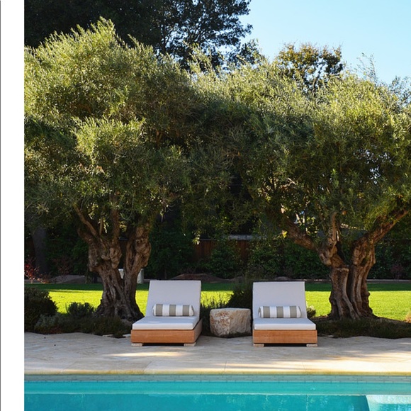 Meet your Posher, Terri - Picture 4 of 16